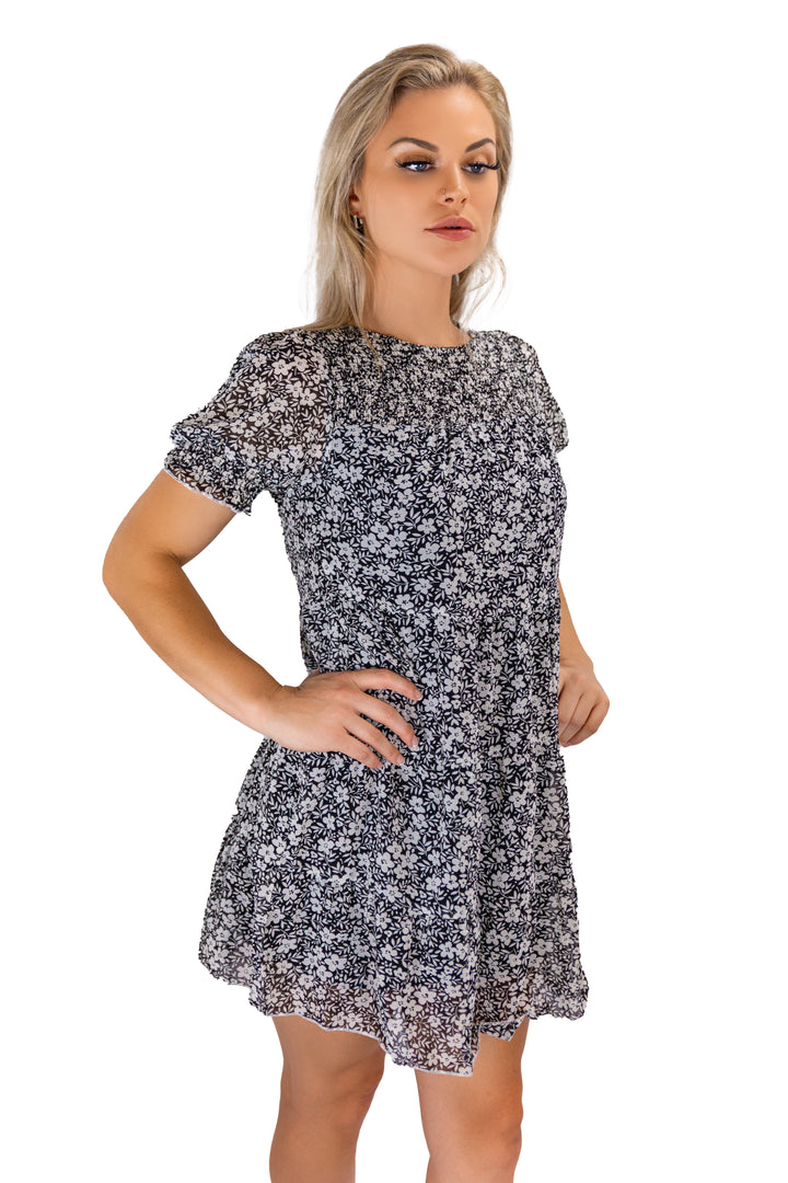 Black Controlled-waist Printed Chiffon Dress